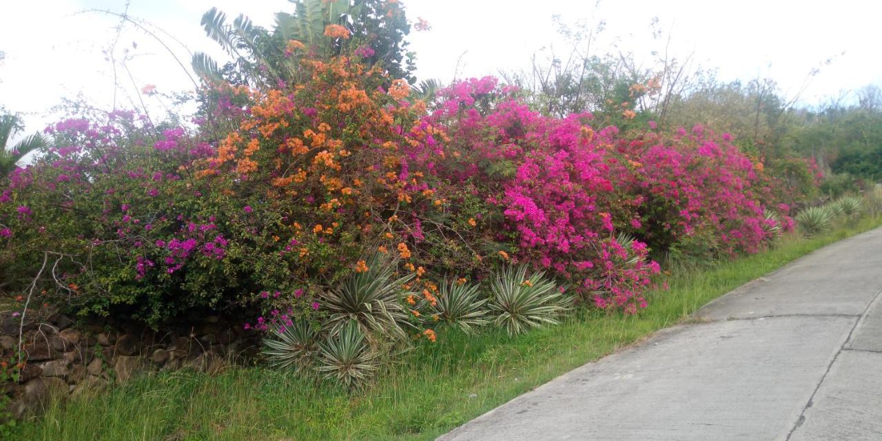 Tikaz Toukite Villa Mero ภายนอก รูปภาพ