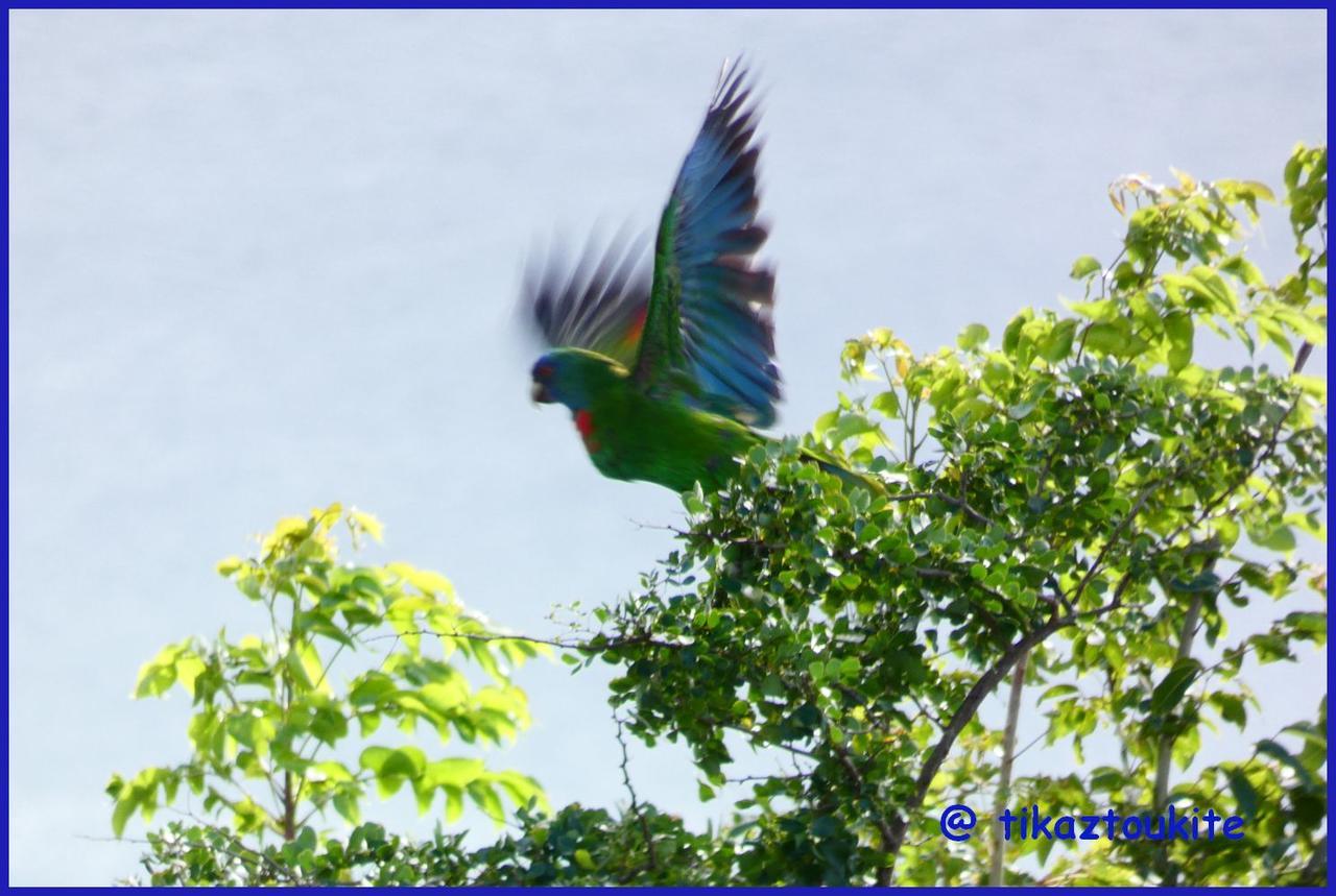 Tikaz Toukite Villa Mero ภายนอก รูปภาพ